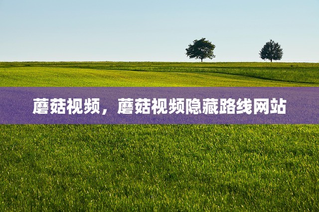 蘑菇视频，蘑菇视频隐藏路线网站