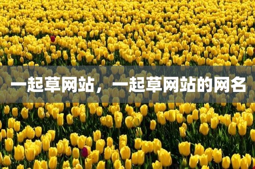 一起草网站，一起草网站的网名