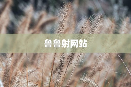 鲁鲁射网站