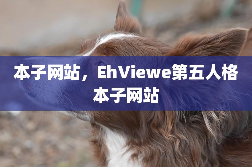 本子网站，EhViewe第五人格本子网站