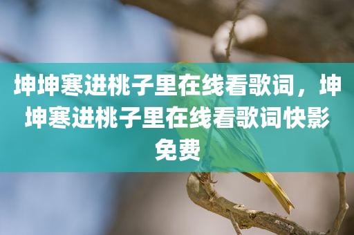 坤坤寒进桃子里在线看歌词，坤坤寒进桃子里在线看歌词快影免费