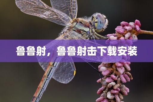 鲁鲁射，鲁鲁射击下载安装