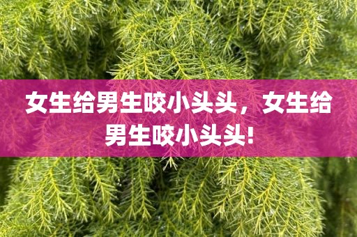 女生给男生咬小头头，女生给男生咬小头头!