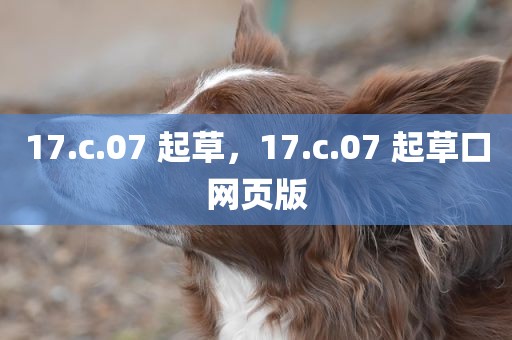 17.c.07 起草，17.c.07 起草口网页版