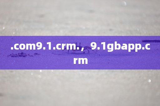.com9.1.crm.，9.1gbapp.crm