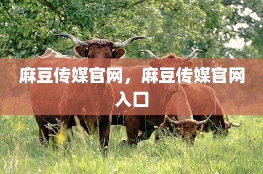 麻豆传媒官网，麻豆传媒官网入囗