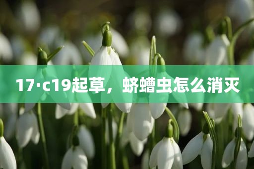 17·c19起草，蛴螬虫怎么消灭