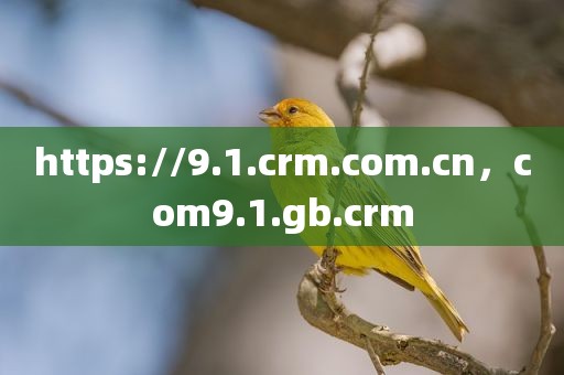 https://9.1.crm.com.cn，com9.1.gb.crm