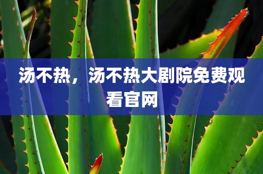 汤不热，汤不热大剧院免费观看官网