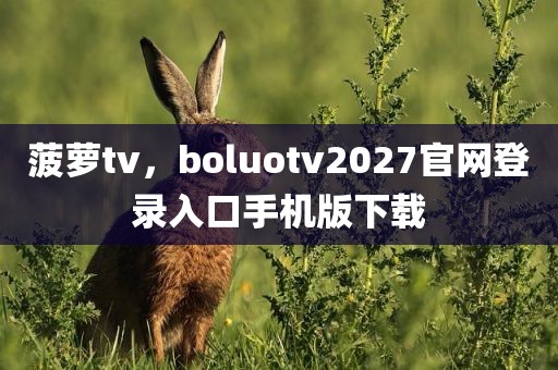 菠萝tv，boluotv2027官网登录入口手机版下载