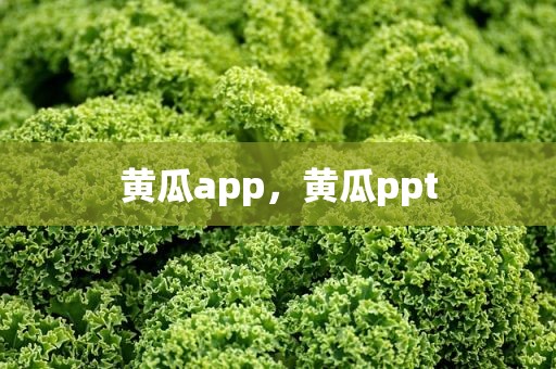 黄瓜app，黄瓜ppt