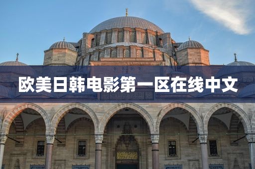 欧美日韩电影第一区在线中文