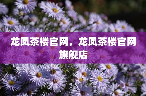 龙凤茶楼官网，龙凤茶楼官网旗舰店