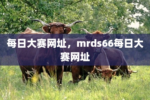每日大赛网址，mrds66每日大赛网址