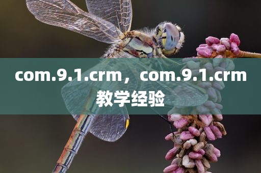 com.9.1.crm，com.9.1.crm教学经验