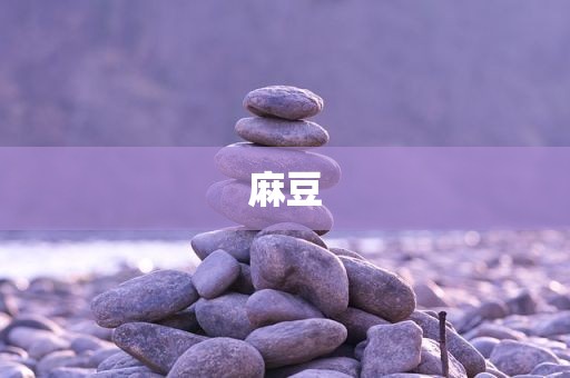 麻豆