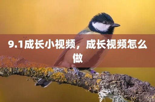 9.1成长小视频，成长视频怎么做