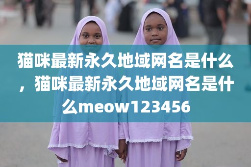 猫咪最新永久地域网名是什么，猫咪最新永久地域网名是什么meow123456