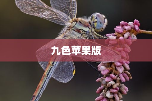 九色苹果版