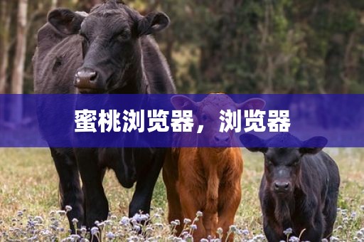 蜜桃浏览器，浏览器