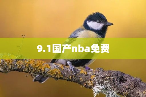 9.1国产nba免费