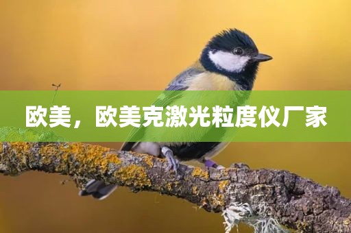 欧美，欧美克激光粒度仪厂家