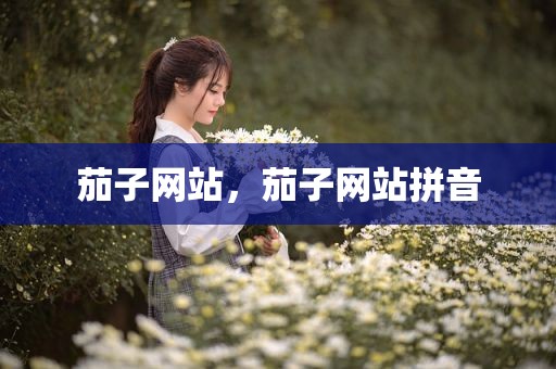 茄子网站，茄子网站拼音