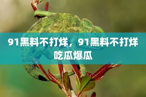 91黑料不打烊，91黑料不打烊吃瓜爆瓜