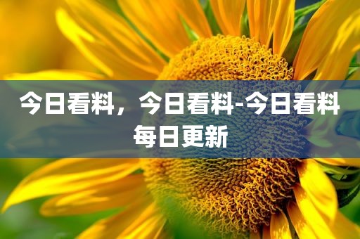 今日看料，今日看料-今日看料每日更新