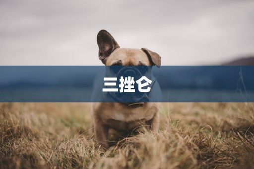 三挫仑