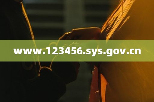 www.123456.sys.gov.cn
