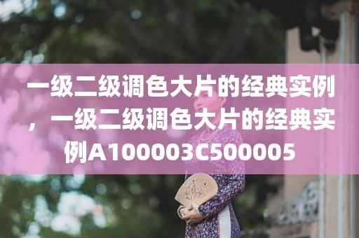 一级二级调色大片的经典实例，一级二级调色大片的经典实例A100003C500005
