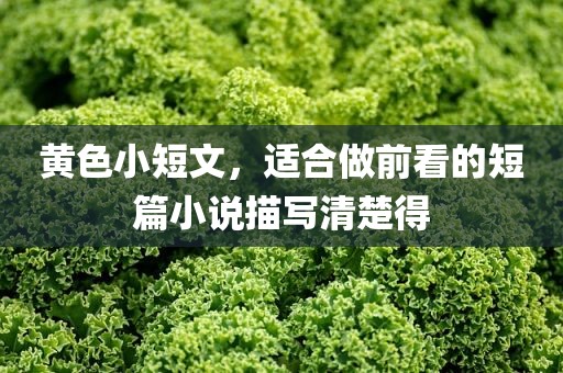 黄色小短文，适合做前看的短篇小说描写清楚得