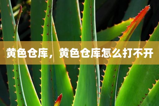 黄色仓库，黄色仓库怎么打不开