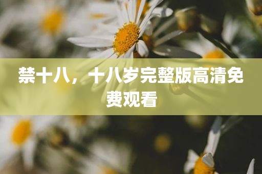 禁十八，十八岁完整版高清免费观看