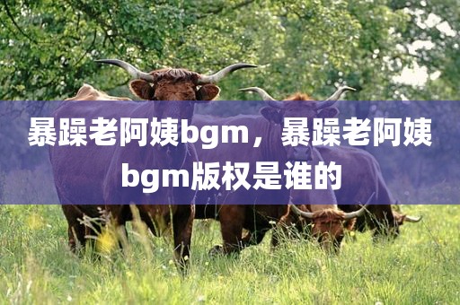 暴躁老阿姨bgm，暴躁老阿姨bgm版权是谁的