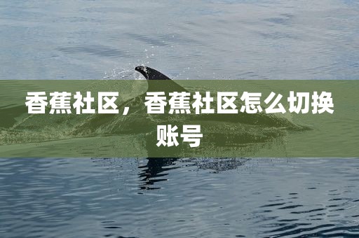 香蕉社区，香蕉社区怎么切换账号