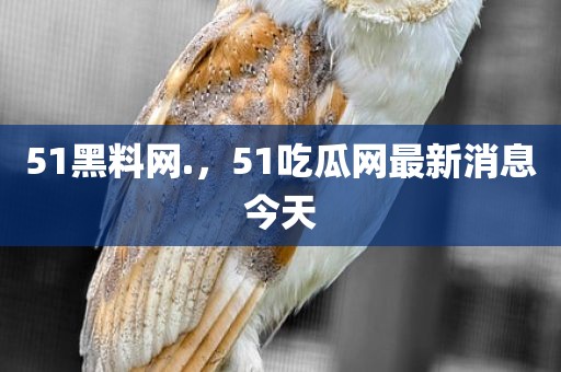 51黑料网.，51吃瓜网最新消息今天