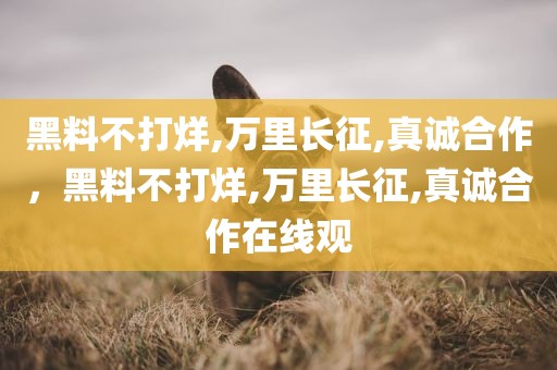 黑料不打烊,万里长征,真诚合作，黑料不打烊,万里长征,真诚合作在线观