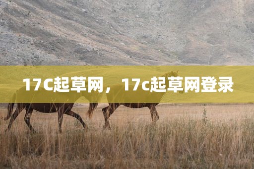 17C起草网，17c起草网登录