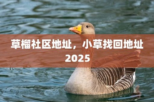 草榴社区地址，小草找回地址2025