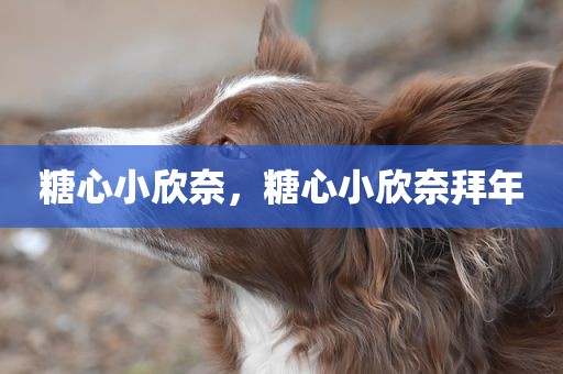 糖心小欣奈，糖心小欣奈拜年