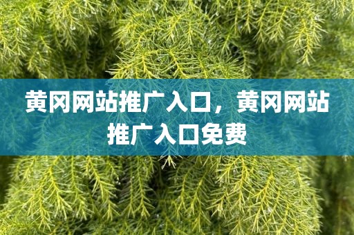 黄冈网站推广入口，黄冈网站推广入口免费