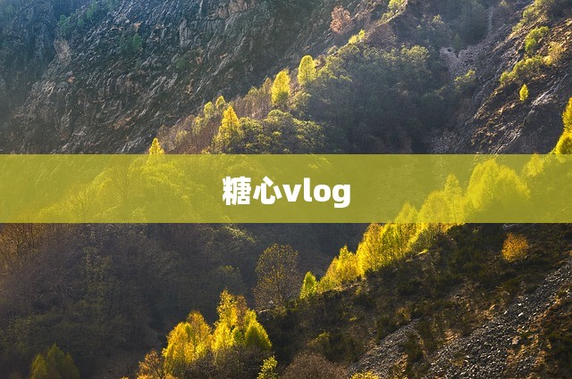 糖心vlog