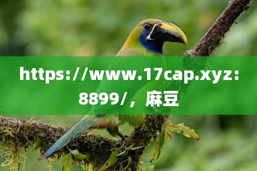 https://www.17cap.xyz:8899/，麻豆