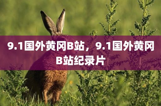9.1国外黄冈B站，9.1国外黄冈B站纪录片