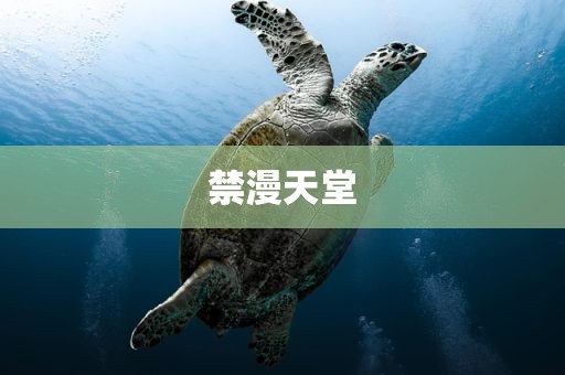 禁漫天堂