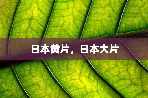 日本黄片，日本大片
