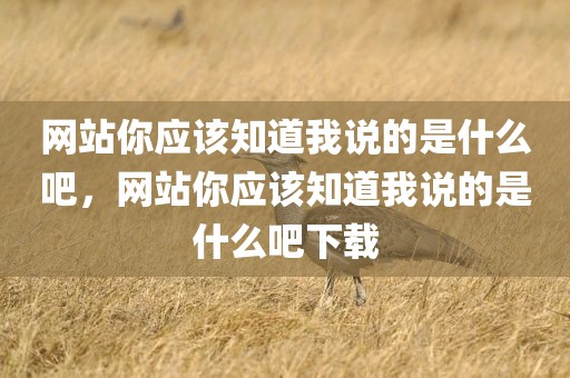 网站你应该知道我说的是什么吧，网站你应该知道我说的是什么吧下载
