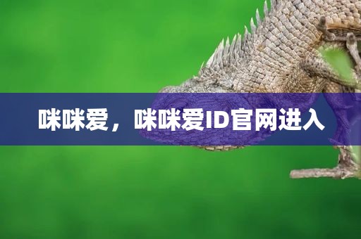咪咪爱，咪咪爱ID官网进入